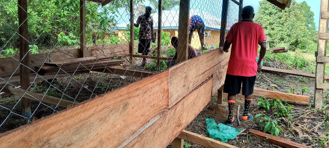 Completed goat pen with blue-ridged roof, Akpassang