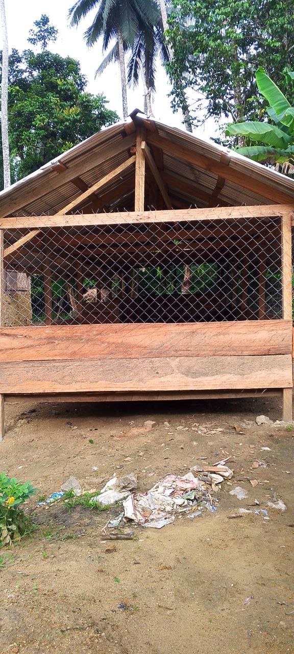 Raised plank floor of the goat pen