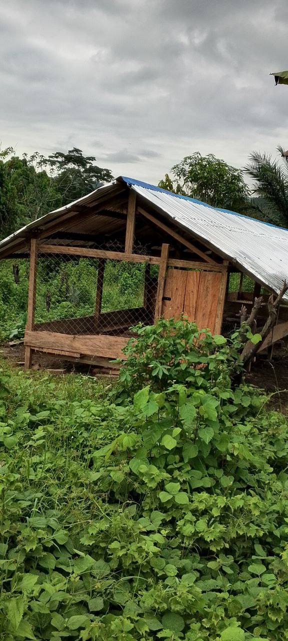 Beneficiaries working on the goat pen