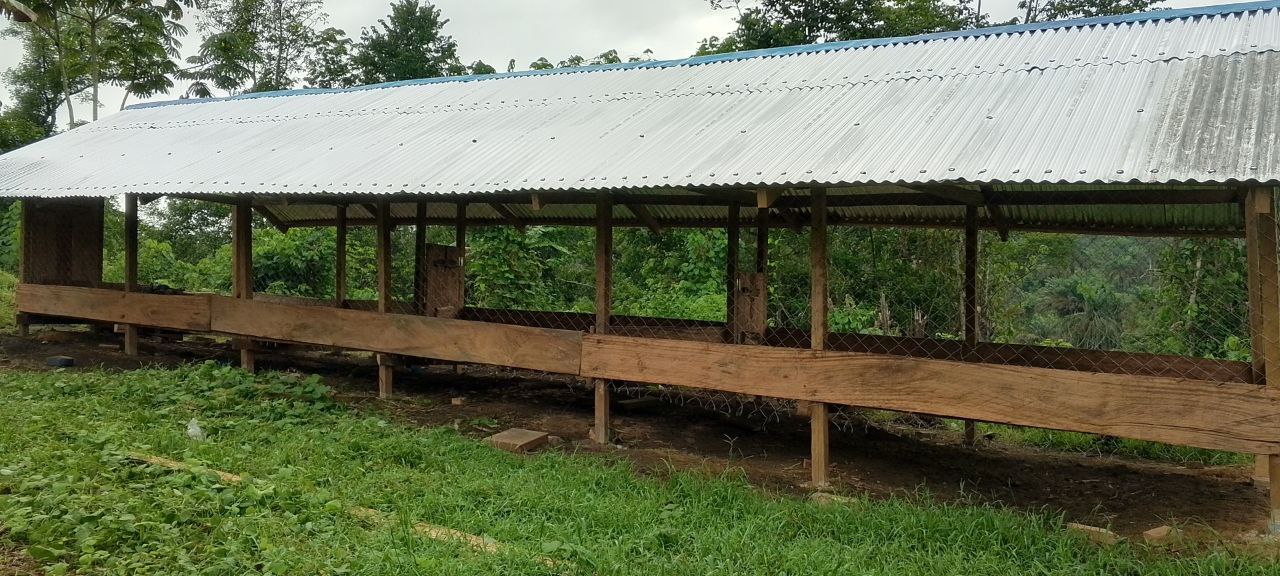 Goat pen set among cleared farmland