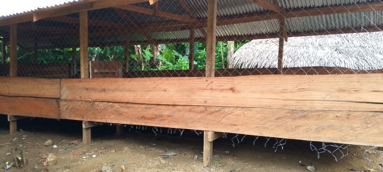 Gable end of a goat pen with chain-link