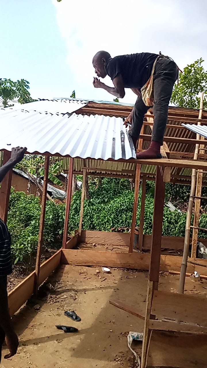 Carpenter nailing zinc sheets on a poultry house roof