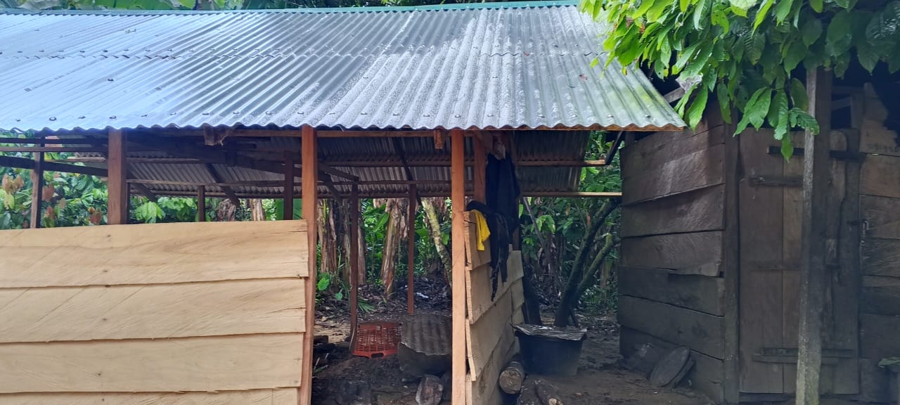 Beneficiaries working under a newly roofed poultry house